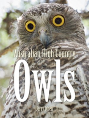cover image of Australian High Country Owls